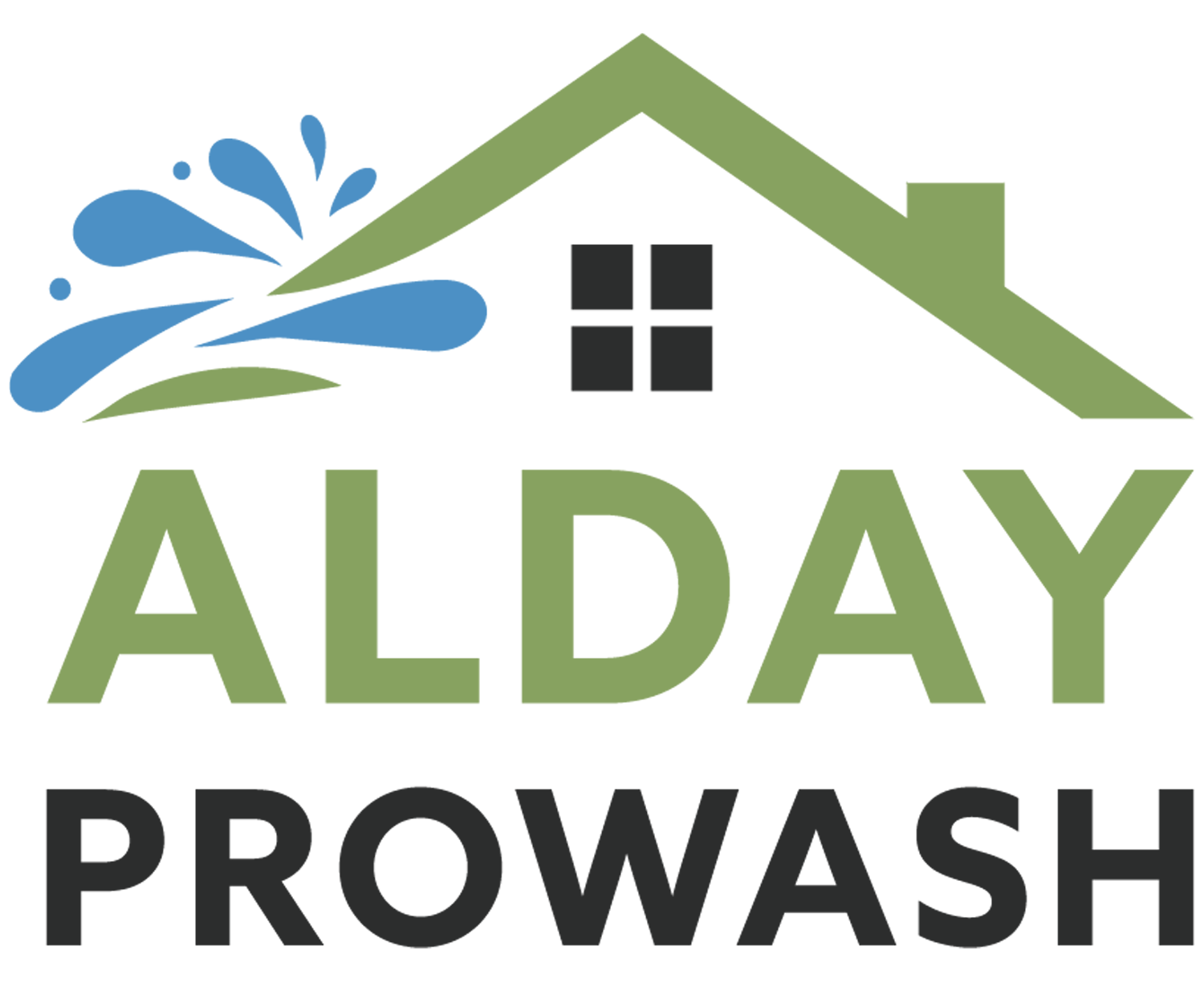 Alday Pro Wash